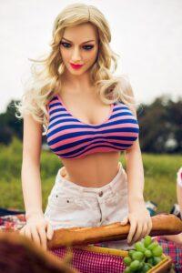 dollal simulator r5ed28