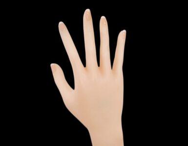 lisa ann sex doll e3fcx20