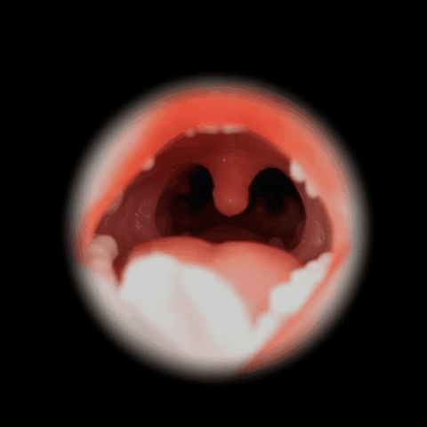 Irontech oral sex function GIF 1